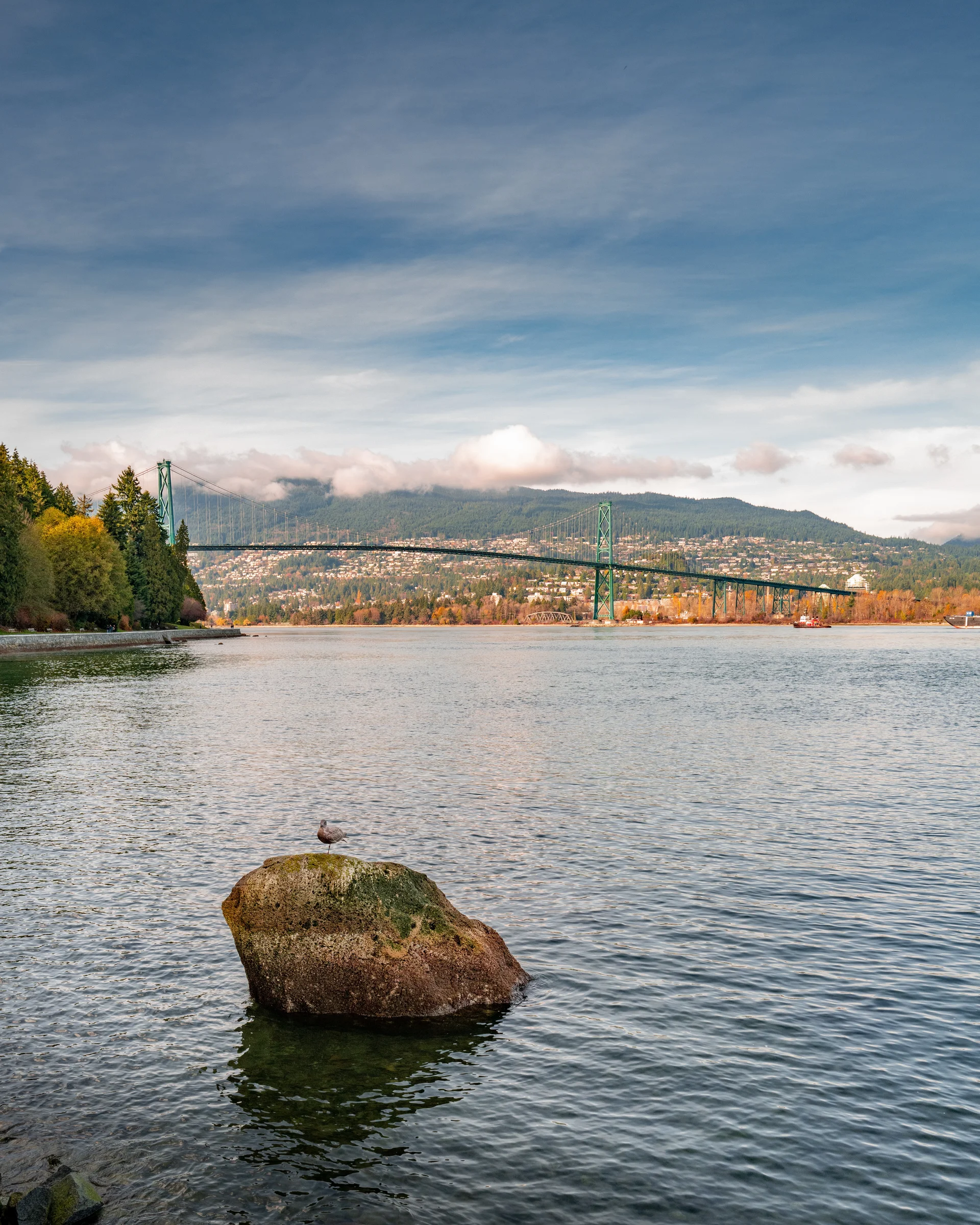 Vertical Shot Lake Stanley Park Vancouver With View Lions Gate Bridge. Nature wallpaper. 5059×6324px. Free download for pe…