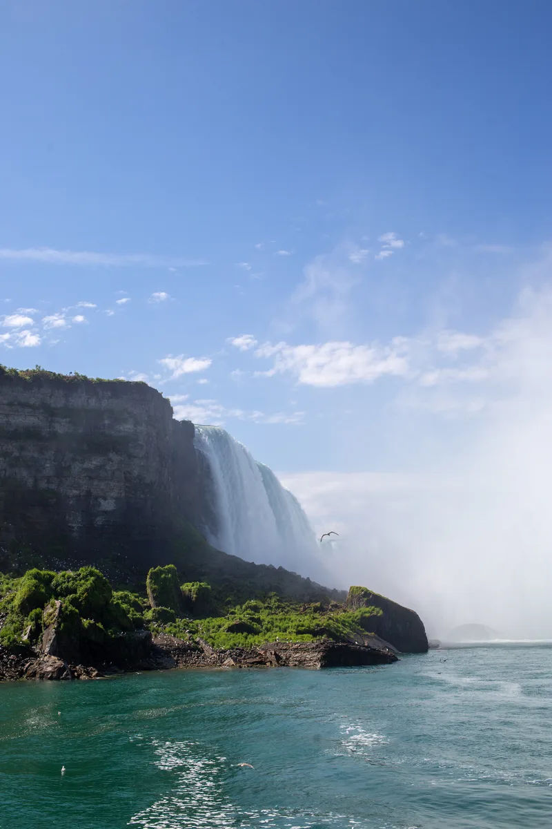 Vertical Shot Niagara Falls State Park Niagara Usa