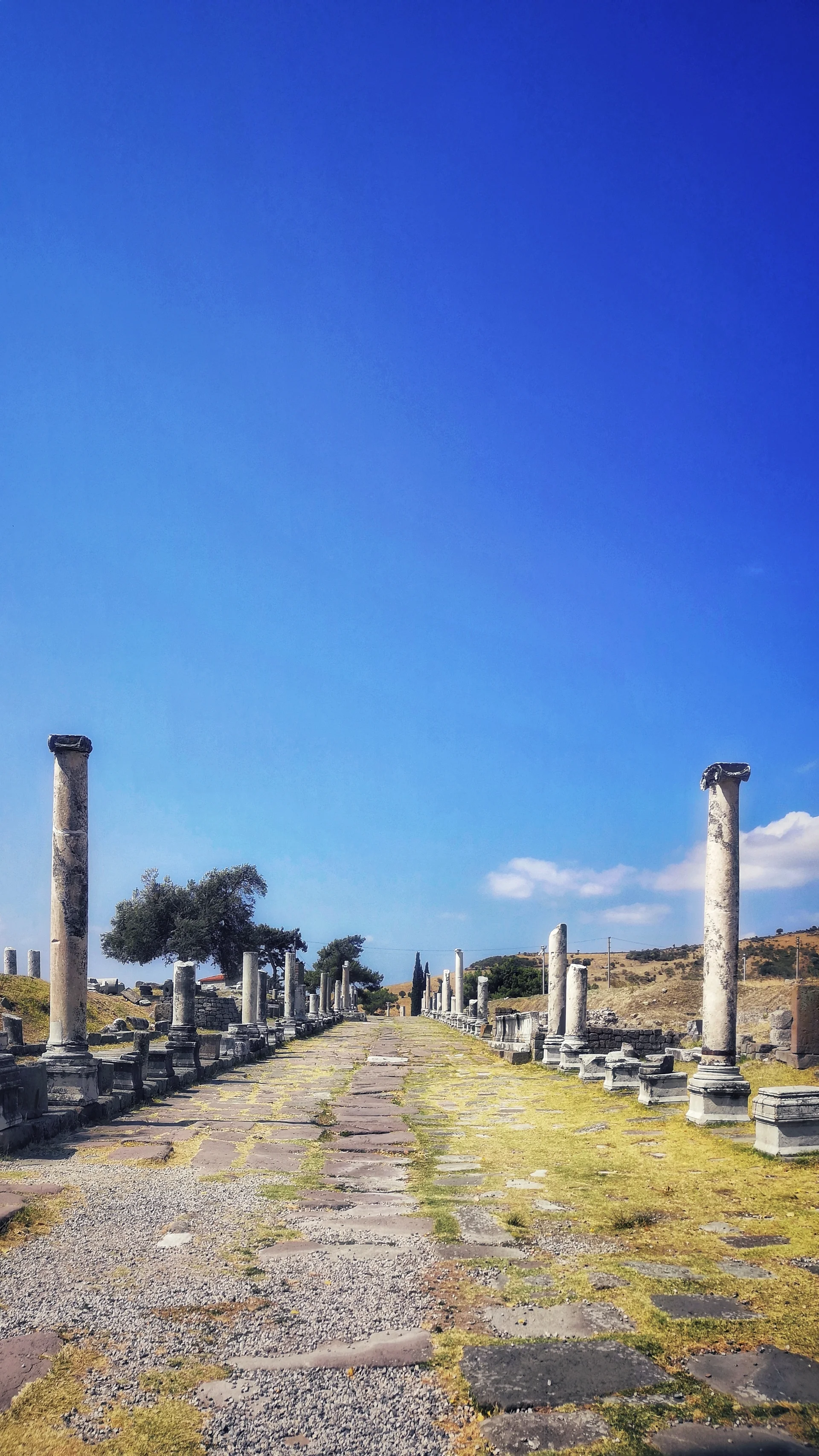 Vertical Shot Old Columns Middle Field. Vintage wallpaper. 2482×4412px. Free download for personal use.