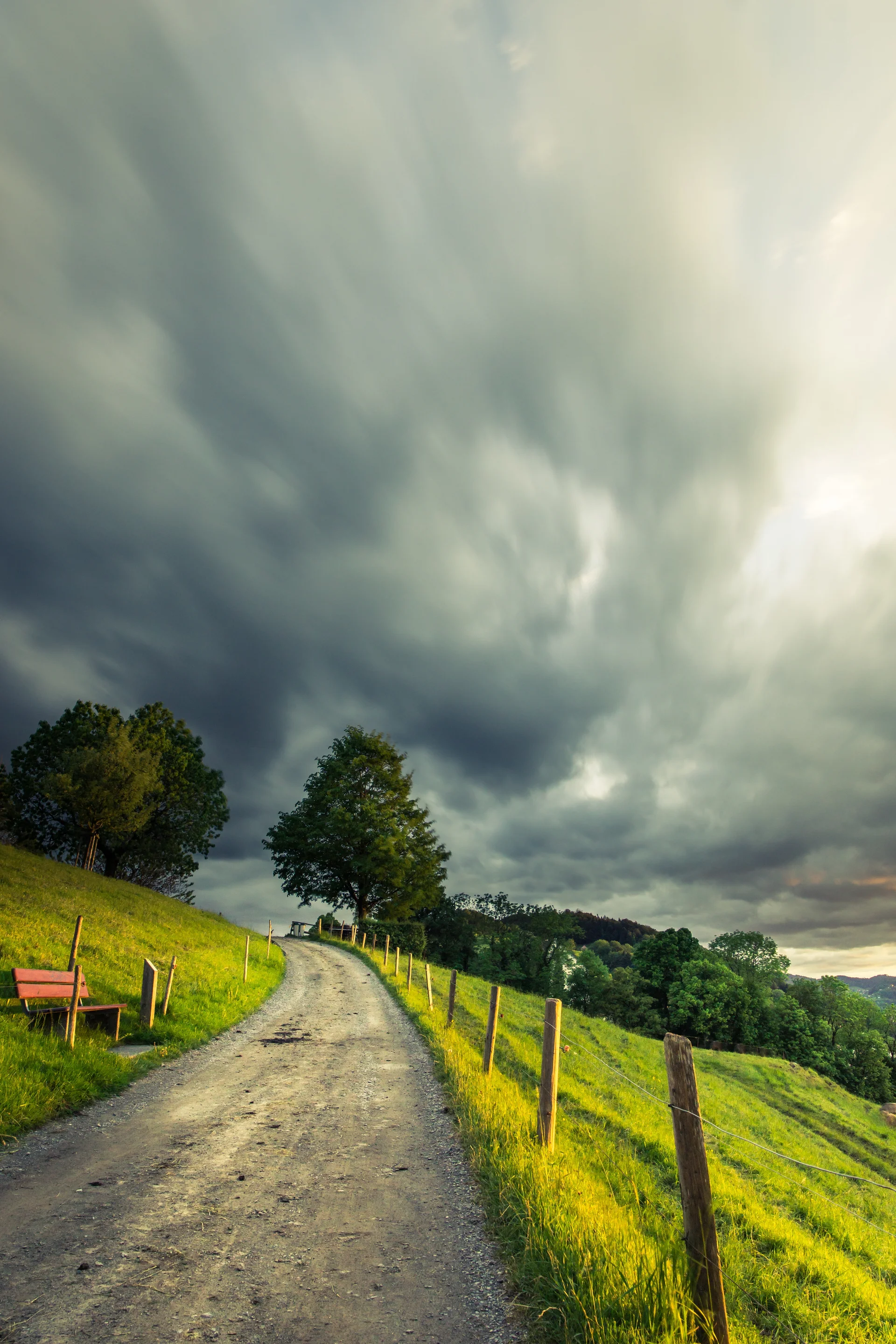 Vertical Shot Pathway Middle Grassy Field With Trees Cloudy Sky. Nature wallpaper. 4000×6000px. Free download for personal…