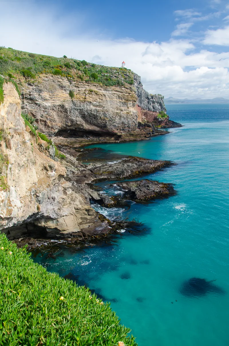 Vertical Shot Tunnel Beach Dunedin New Zealand
