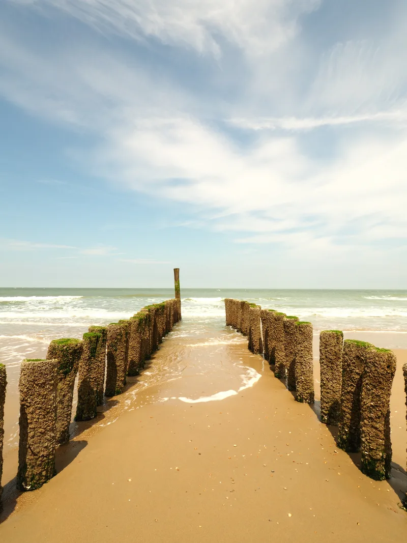 Vertical Shot Wooden Breakwaters Golden Sand Beach With Clear Sunny Sky