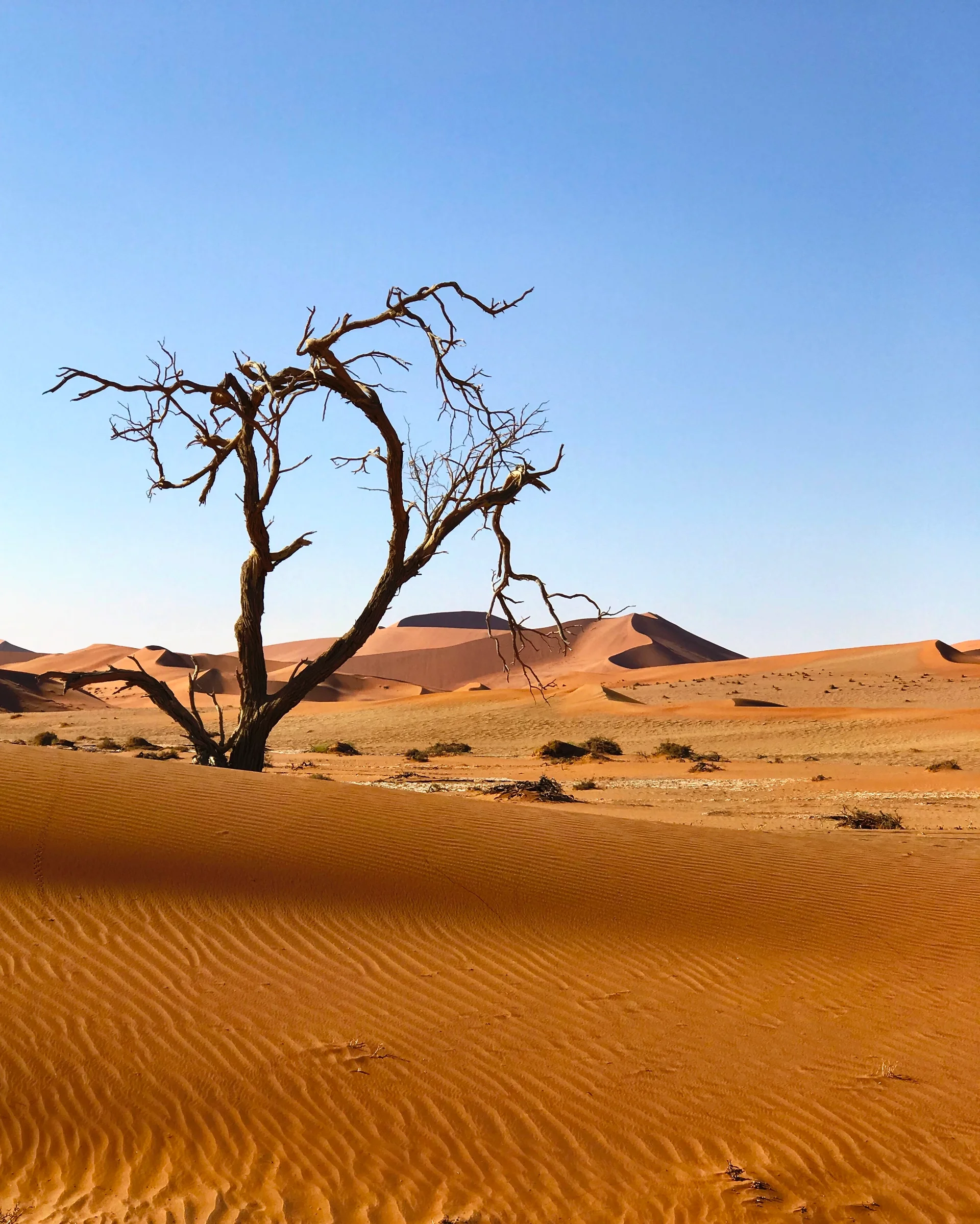 View Desert Against Clear Sky. Nature wallpaper. 2806×3504px. Free download for personal use.
