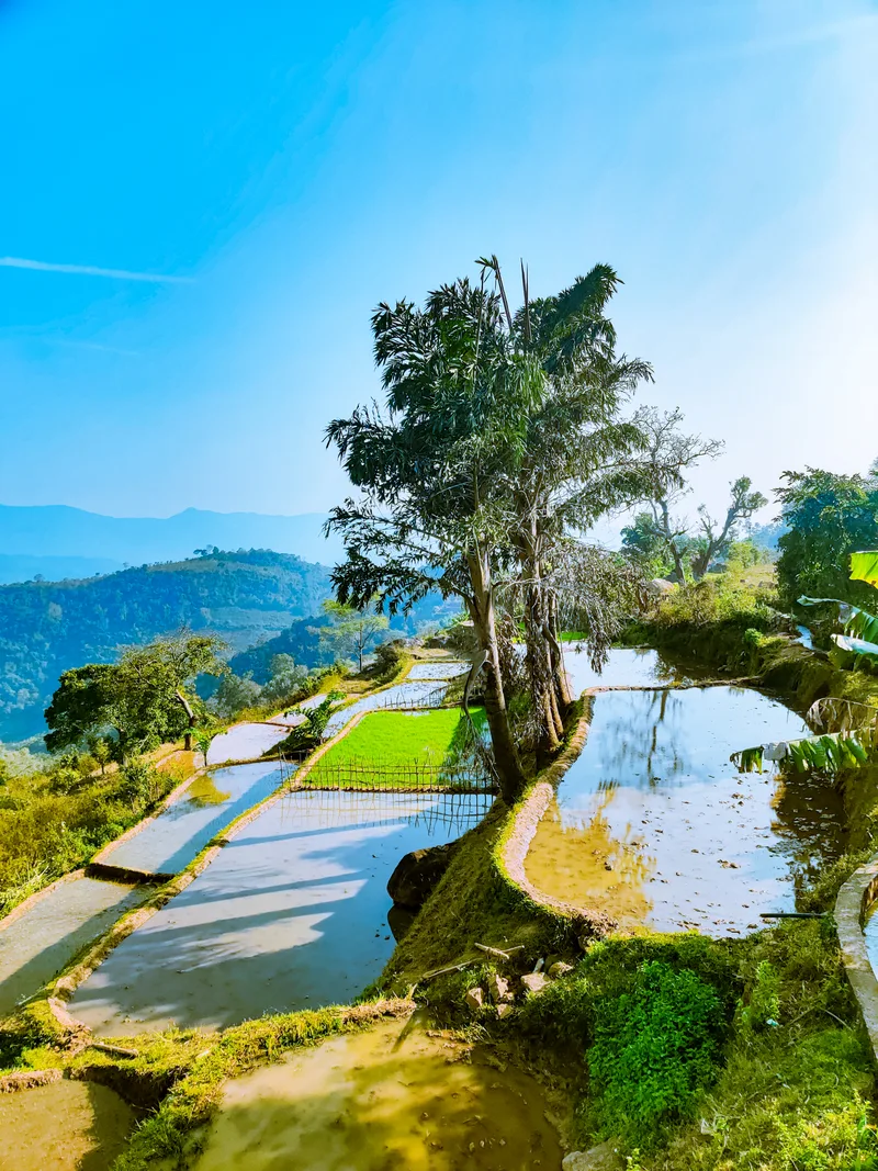 View Mountain Road With Water Feature