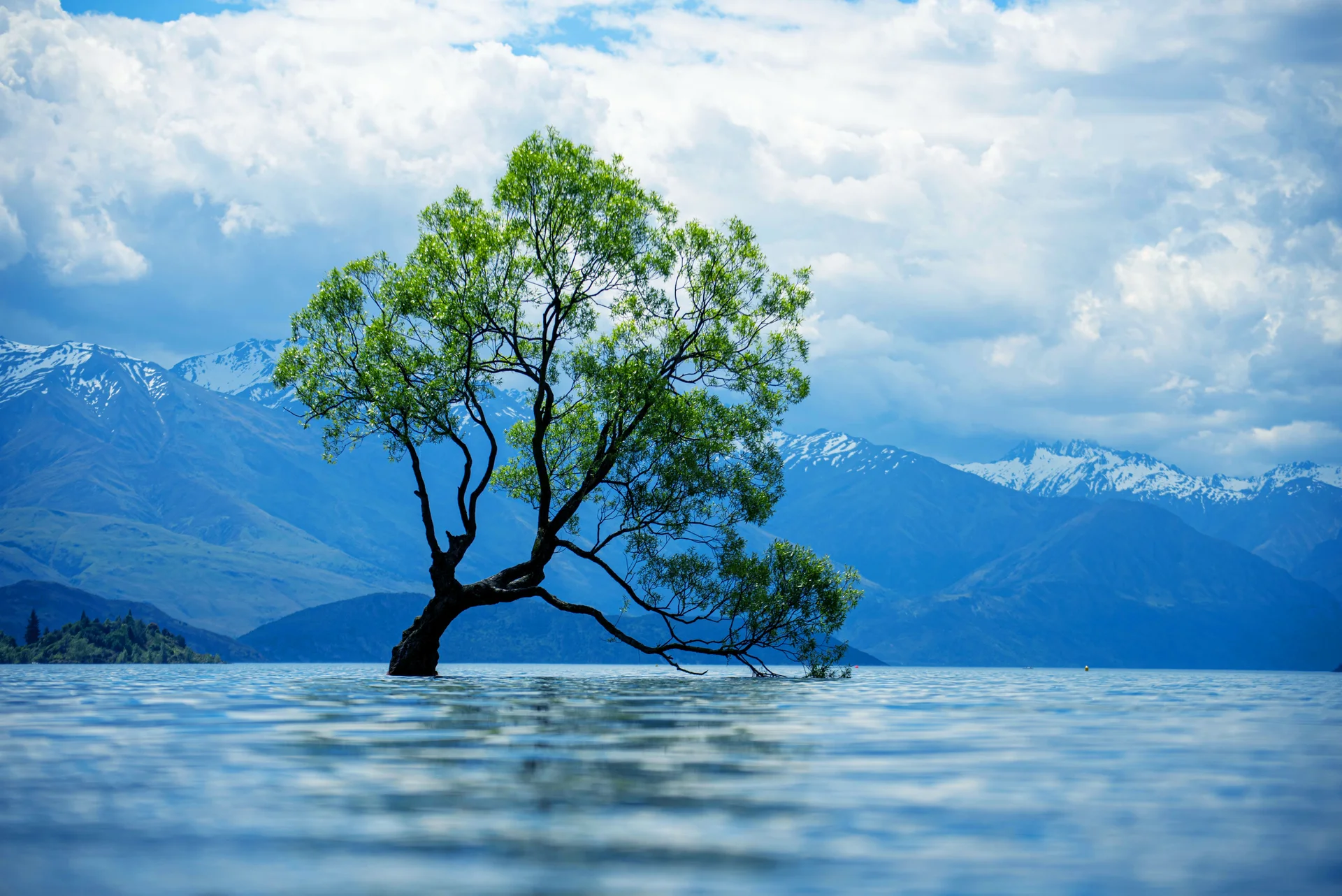 View Old Tree Lake With Snowcovered Mountains Background Cloudy Day. Nature wallpaper. 6016×4016px. Free download for pers…