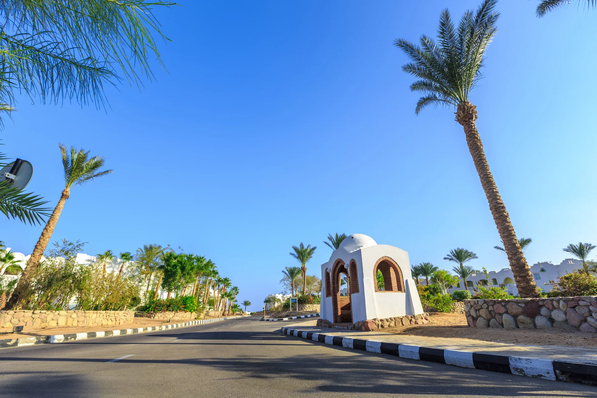 View Road Palm Trees Near Hotels. Aerial wallpaper. 5494×3663px. Free download for personal use.