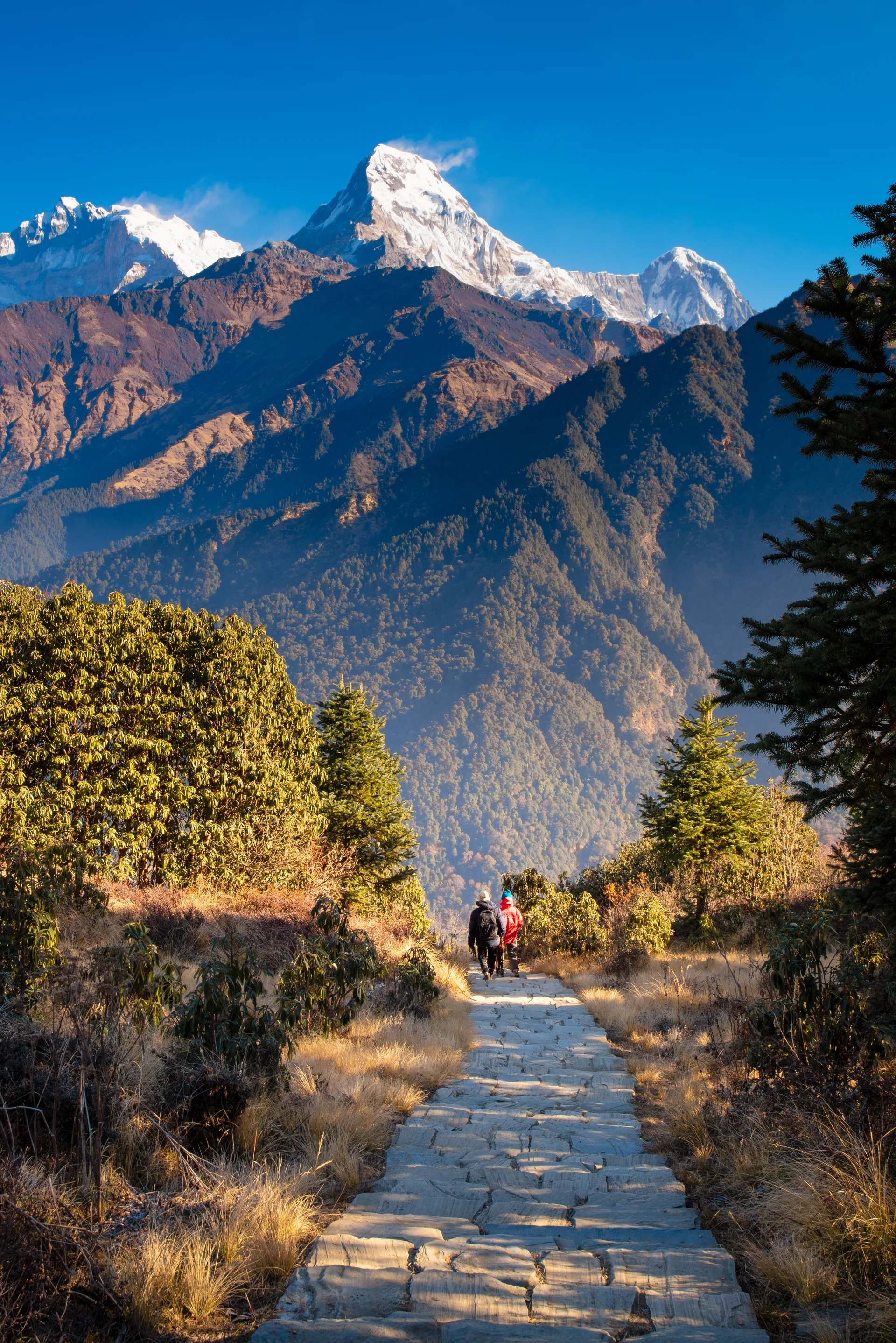 Walking Trail Poon Hill View Point Nepal. Aerial wallpaper. 3525×5281px. Free download for personal use.