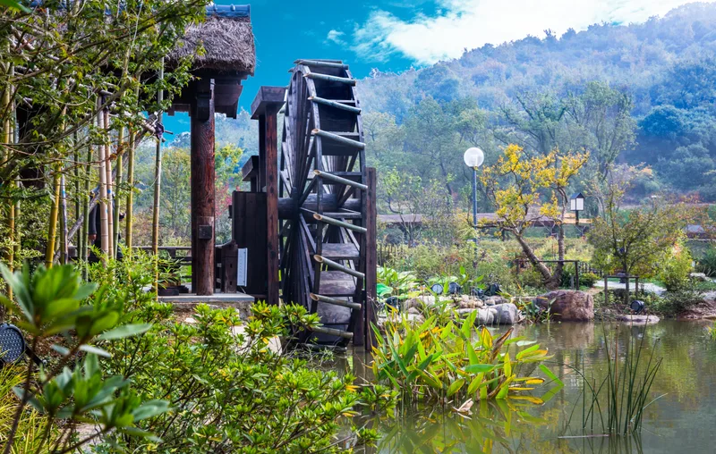 Water Wheels River Amidst Trees