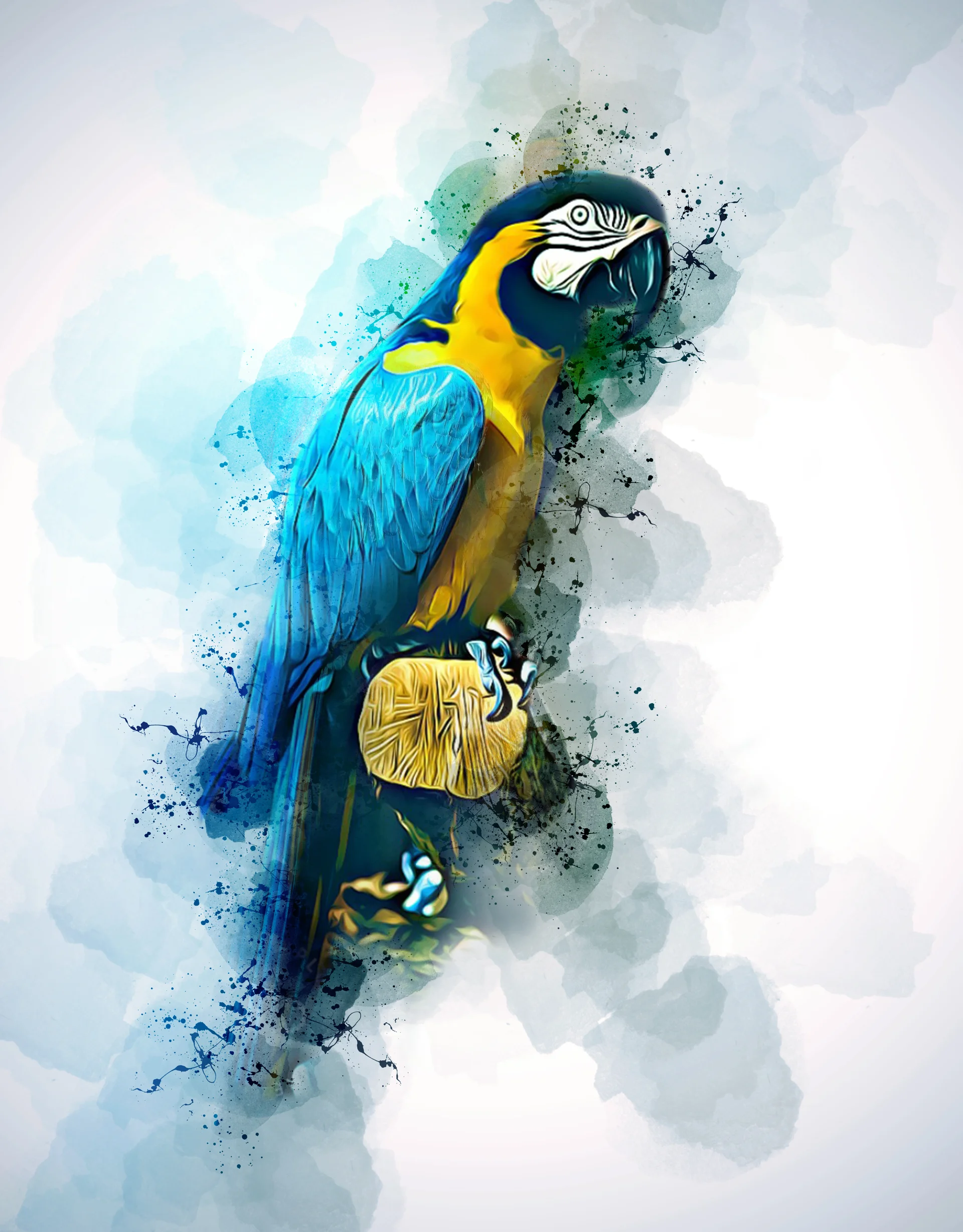 Watercolor Illustration Parrot Isolated Background. Uncategorized wallpaper. 4794×6136px. Free download for personal use.