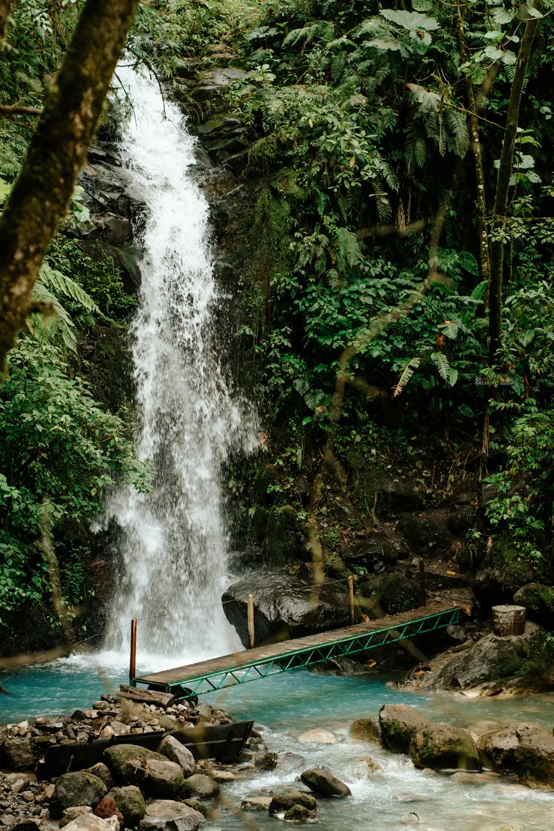 Waterfall With Wood Bridge Middle Forest Alajuela Costa Rica