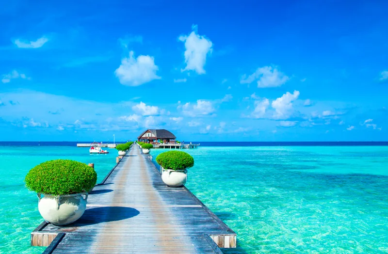 White Tropical Beach Maldives