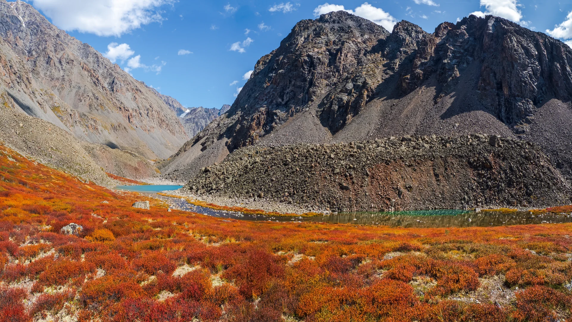 Wonderful Alpine Landscape With Orange Autumn Dwarf Birch Foot Rocky Mountain Sunshine Motley Mountain Scenery With Gray R…