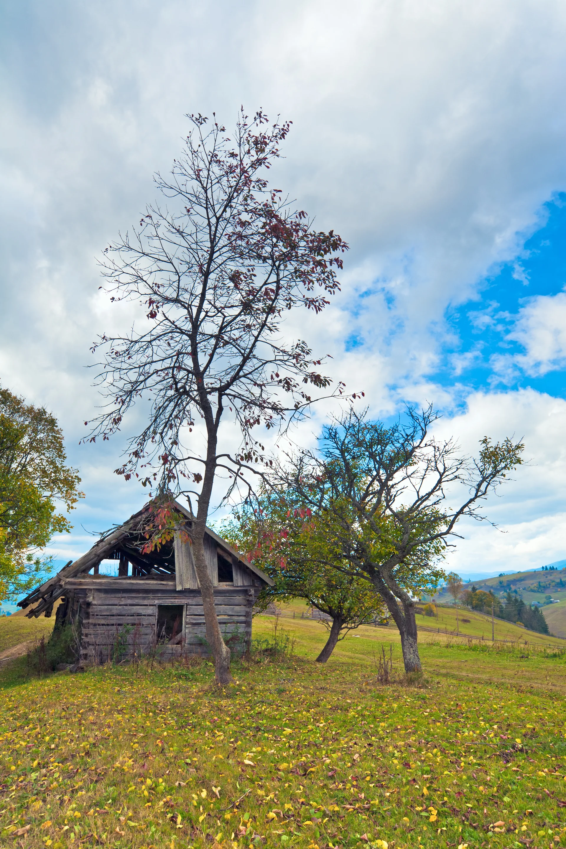 Wooden Rotten Barn Autumn Mountainside Carpathian Ukraine. Uncategorized wallpaper. 2806×4210px. Free download for persona…