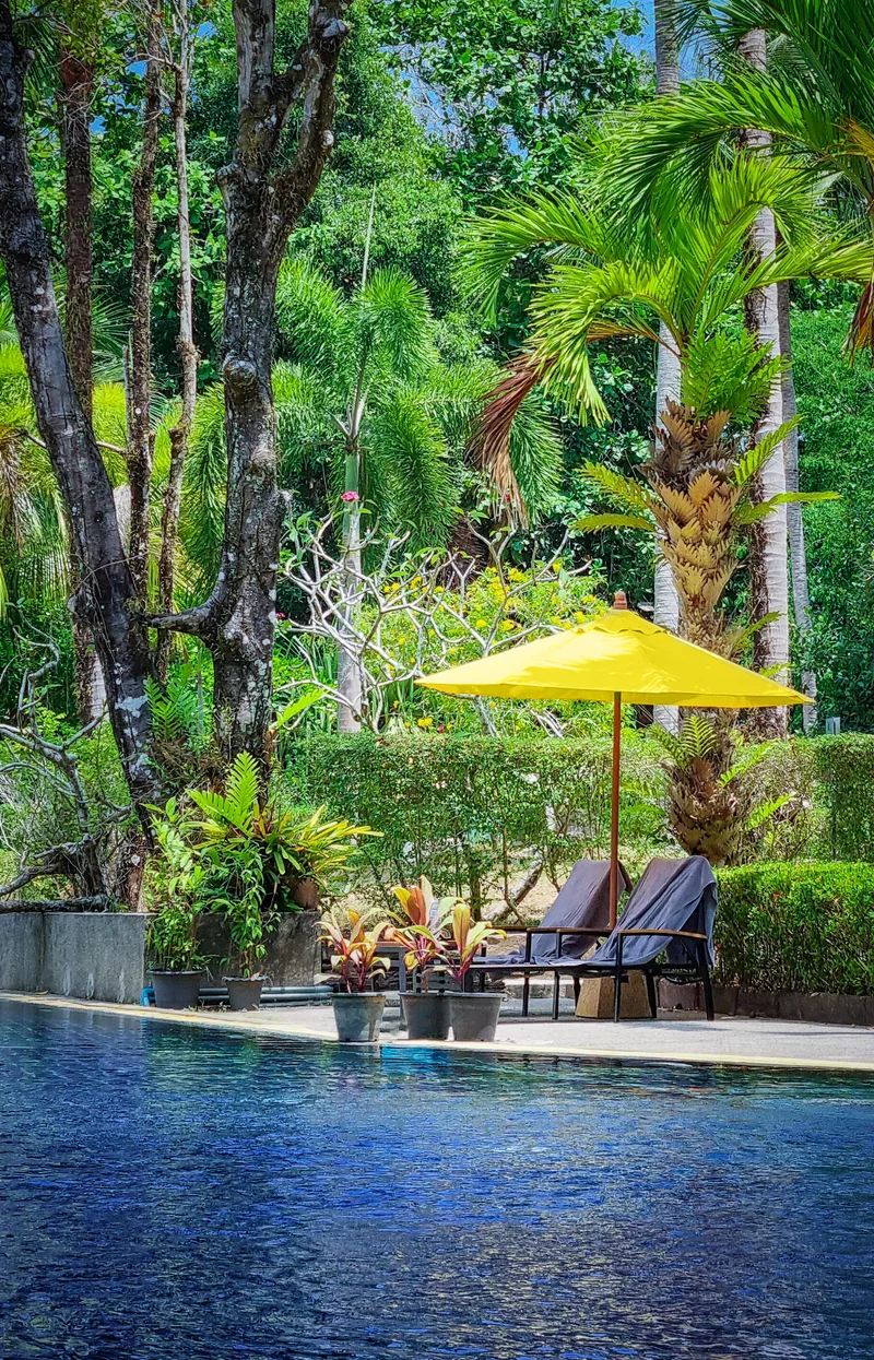 Yellow Umbrella Is Pool With Trees Background